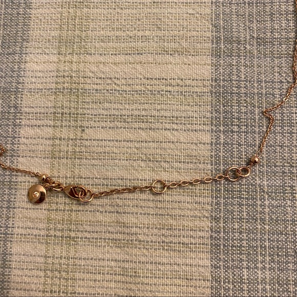 J.Crew Rose Gold Tassel Pendent Long Necklace - Picture 14 of 15